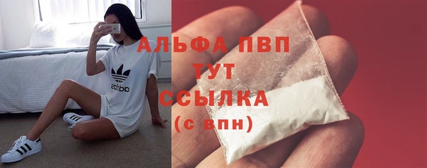 амф Алексин