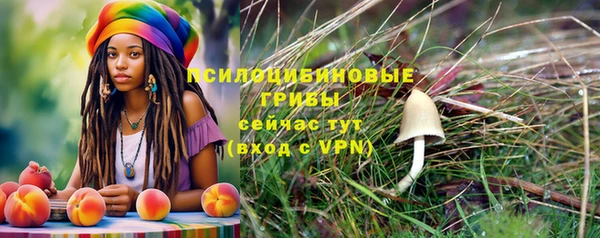 амф Алексин