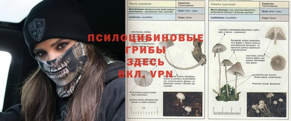 мефедрон Алексеевка